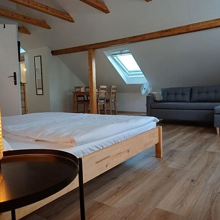 קרלובי וארי Loft Apartment מראה חיצוני תמונה